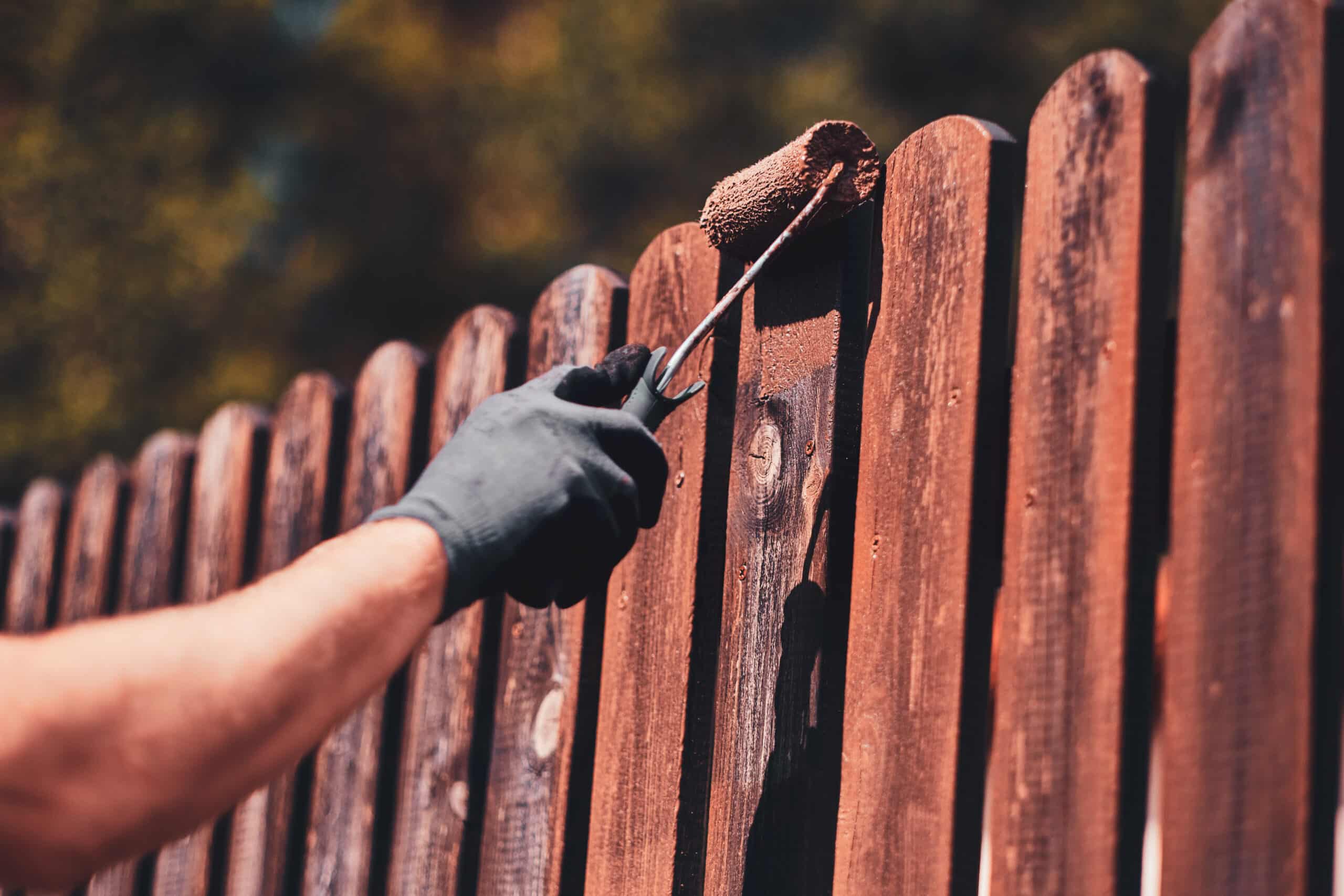 House painters Edmonton applying rich brown stain to a wooden fence in a Queen Alexandra Edmonton backyard.